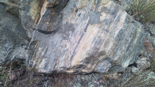 Гигантские зелёные валуны для ландшафтного дизайна весом более 5 тонн купить в Республике Карелия